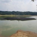 금광 태양광발전소 이미지