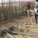 옥천군 산림조합