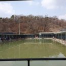 아방리낚시터 네이버블로그
