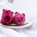 명가부동산중개사무소 이미지