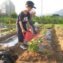 우두농장 이미지