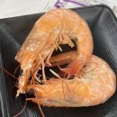 [대전 맛집] 만년동 한밤오징어포차, 가을 제철 대하는 못 참지(ft.새우머리 버터구이)