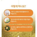 열매푸드 | 국내산 비타민나무열매분말 후기 – 상큼하게 마시는 슈퍼푸드 🌿