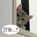 세븐일레븐원주단계행복점 | [원주] 단계동 술집 안주 맛집이라 술 술술 들어가는 아프로 단계점 방문 후기