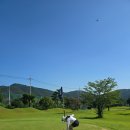 벌교파3골프연습장 이미지