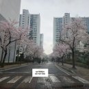 삼산공인중개사사무소 이미지