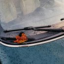 마이티컴퍼니 이미지