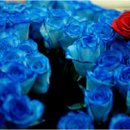 창수어린이집 이미지