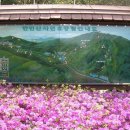 제2금산주유소 이미지