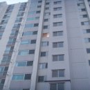 강변유원지길 이미지