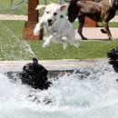 스포짐휘트니스 이미지