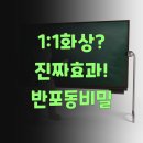 반포대로22길 100 | 반포동 학원 선생님이 절대 말해주지 않는 1:1 화상과외의 진짜 효과