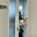 서울플러스 종합 동물병원 이미지