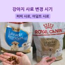 인퍼피 | 강아지 퍼피사료 어덜트사료 변경 시기 후기
