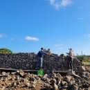 돌담이네 이미지