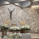 성당할머니 | [wedding 15] 💛프란치스코 교육회관 11월 16일 성당결혼식 본식 후기💛