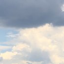 심다누그래스비프 이미지