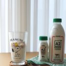 건국축산 | 건국유업 무항생제 A2단백우유 건국목장 맛있는 우유추천