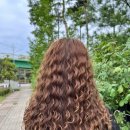 데일리헤어샵(Daily Hair#)