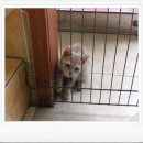 애경동물병원 이미지