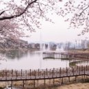 연초체육공원 이미지