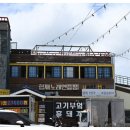 바다를품은돼지 이미지