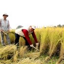 이기수농장 이미지