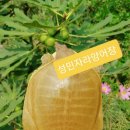 동행양어장 네이버블로그