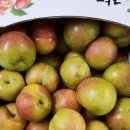 이화숙농장 | 흠집자두 구매후기