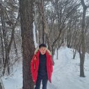 금마 이미지