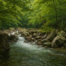 어치물놀이펜션 | 광양 어치계곡 펜션 여름철 물놀이 힐링