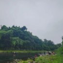 강정동-24 이미지