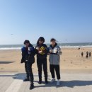 평택복싱(평택관) 이미지