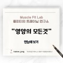 영양 가이드 한눈에 보기