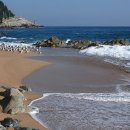 블루로드 이미지