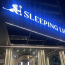 라이온호텔 | 호텔] 슬리핑 라이온 스위트(sleeping lion suites) 호텔 내돈내산 후기 쿠알라룸푸르 호텔 추천