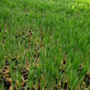 좋은친구 어린이집 이미지