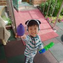 오락팡팡 이미지