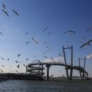 백사장해변 이미지