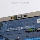 마음숲언어심리상담센터 직접 상담 받아본 후기
