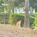 온누리 당구장 | 30대 예비 아빠의 고백, '노잼 동네'가 아이 키우기엔 '0순위'인 이유
