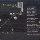 대광천(1) 이미지