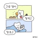 2024년 7,8,9월 모음집
