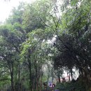 베트남 사파 여행 사진 3일차(함롱산) &amp; 4일차(하노이 호안끼엠호수) 이미지