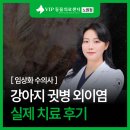 도담동물병원 | 도봉구 동물병원 강아지 귓병 외이염, 실제 치료 후기