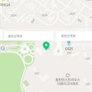 쥬씨앤차얌레이크