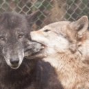 용산-현장-469 이미지