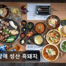 3375 | 제주도 유채꽃 여행 돌담애 성산 흑돼지 제주도 유채꽃 여행의 맛집