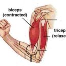 더블유필라테스 이미지