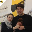 미스터브리더 | 구리애견분양 브리더 푸들